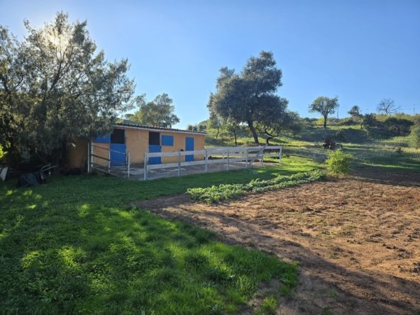 21837C75-1B39-4BA4-B762-8E29C0E072E4